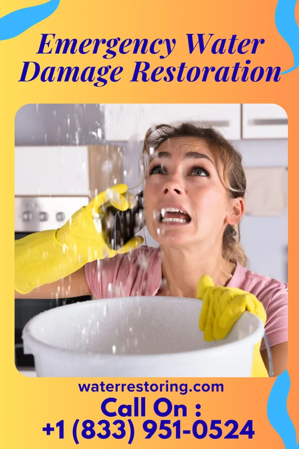Emergency Water Damage Restoration in Heber, UT