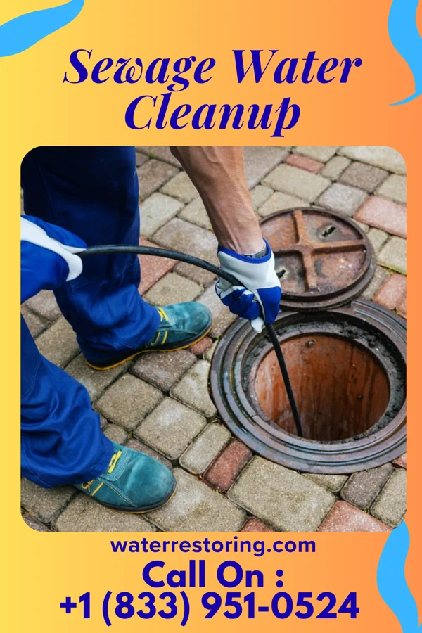 Sewage Water Cleanup in Heber, UT